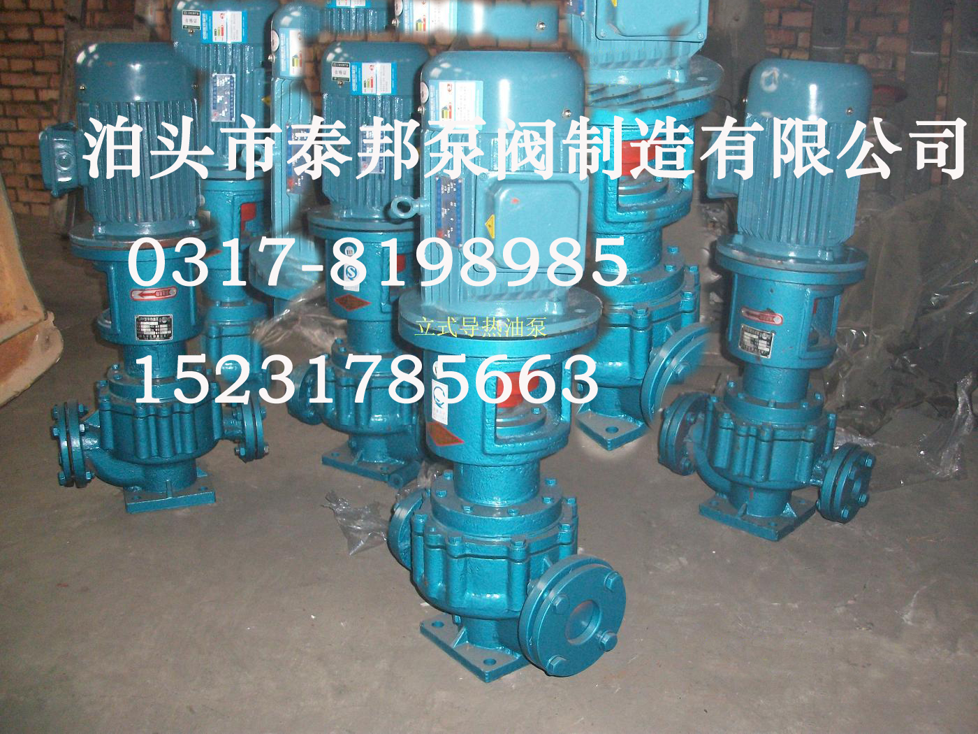 導(dǎo)熱油循環(huán)油泵